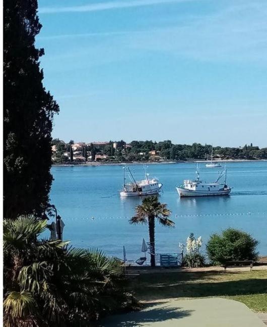 Apartment Villa Angelina, 70M From The Beach, Free Parking Novigrad Istria Exteriér fotografie