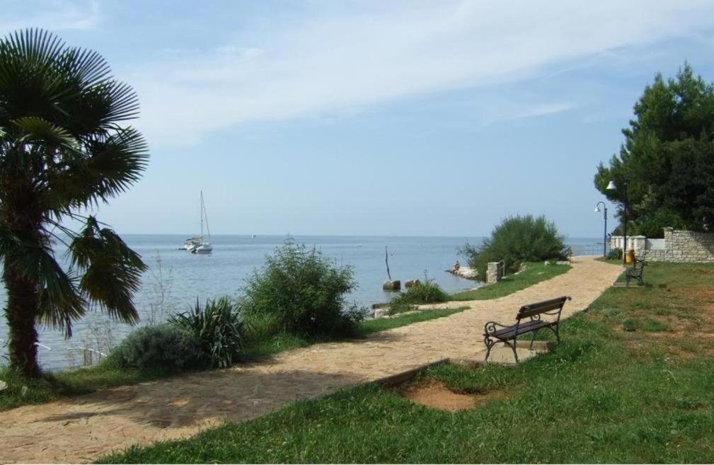 Apartment Villa Angelina, 70M From The Beach, Free Parking Novigrad Istria Exteriér fotografie